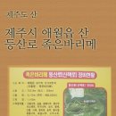 피앤피제주 네이버블로그