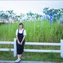 일루미아