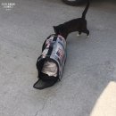 웰니스동물병원(고잔점) 이미지