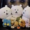 프리미엄 와와 이미지