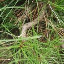 종대농장 이미지