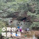 벽운클럽 | 서울 | 수락산 벽운계곡 대중교통 주차 먹거리 명당 포인트 물고기 평일 방문 후기