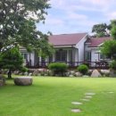 솔바람 들꽃향기 이미지