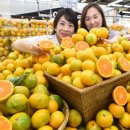 푸른유통 이미지