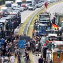 강국농장 이미지