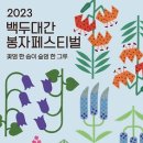 멍그루 이미지