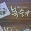 네일4시즌레푸스