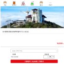 스카이디지탈 | 발왕산 케이블카 후기｜국내 최장 케이블카 타고 스카이워크까지 다녀왔어요