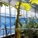 원주농장 이미지