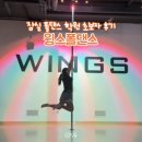 잠실 폴댄스 &#34;윙스폴댄스&#34; 서울 폴댄스 학원 추천 솔직후기