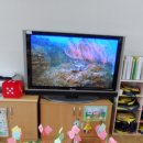 둔포초등학교병설유치원 이미지