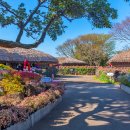 제주민속촌 이미지