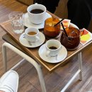 비바라떼 이미지