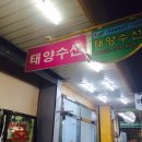 복개수선
