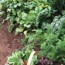 고양농장 이미지