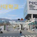 퓨전파전 이미지