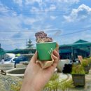 (주)준성리조트 | 8월 셋째 주 기록