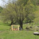 알프스 PC 이미지