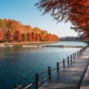 울진 가볼만한곳 베스트10 이미지