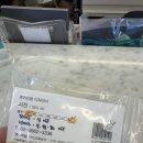 서진 | 염창역 미용실 로이드밤 염창역점 서진 디자이너 클리닉 후기