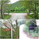 유천1제 이미지