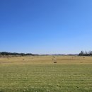 군산CC드라이빙레인지 | [군산cc ]2인 라운딩, 골프텔 패키지 내돈내산 후기(체크인/가격/드라이빙 레인지/골프텔