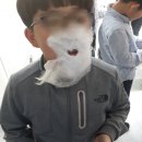 예스런피카소미술교습소 - 제천시 원뜰로 36 | 예스런피카소미술교습소