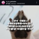 멍뭉펫살롱 이미지