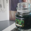 더 좋은 Candle