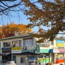 우면코오롱아파트 이미지