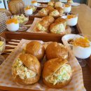 필링펜션 | 서귀포 애견펜션인 아름다운호야네에서 온 가족이 함께한 제주 여행