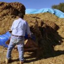 김형근농장 이미지