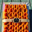 장기 산골농장 이미지