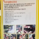 주주동물병원 이미지