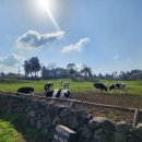 부연목장 이미지