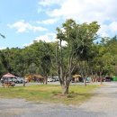 별빛오토캠핑장 이미지