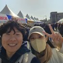 스탠다드로투스