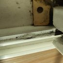 효성 뉴서울 6차아파트 이미지