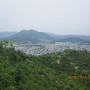 덕음정 Daum카페