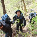 110505 헐티재, 비슬산, 용연사로 산행 이미지