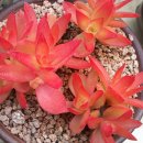 도남농장 이미지