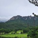델피노