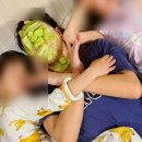 삼봉태권도 이미지
