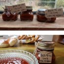 보광골 영농조합법인 이미지