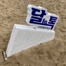 느린 달팽이 | 광안리 달팽이톡 달톡 느린우체통 이용 후기