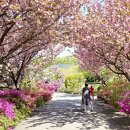 만수노인복지원 이미지