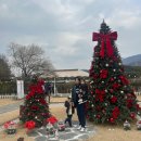 다미농원 | [포천] 고모리691 크리스마스트리가 있는 대형카페 6세 15개월 아이와 가볼 만한 곳