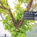 공주시 노인종합복지관 이미지