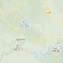 소동느티나무 이미지