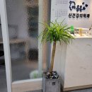 마음톡의원 이미지